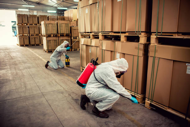 Wasp Removal Services in Miami Lakes, FL