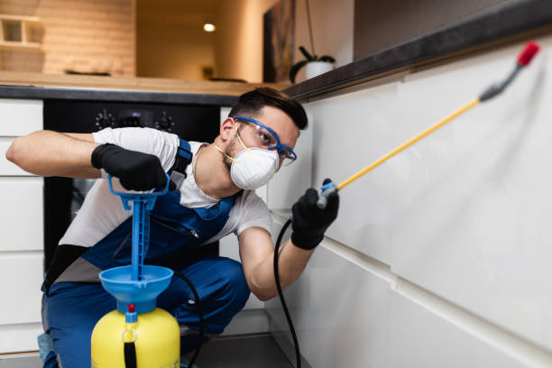 Best Pest Control Near Me  in Miami Lakes, FL