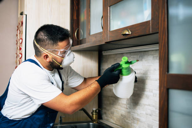 Best Bed Bug Extermination  in Miami Lakes, FL