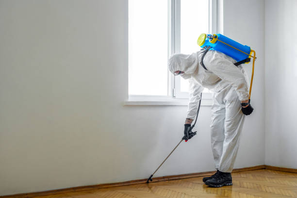 Pest Prevention Services in Miami Lakes, FL