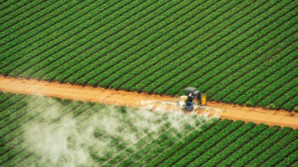 Reliable Miami Lakes, FL Pest Control Solutions