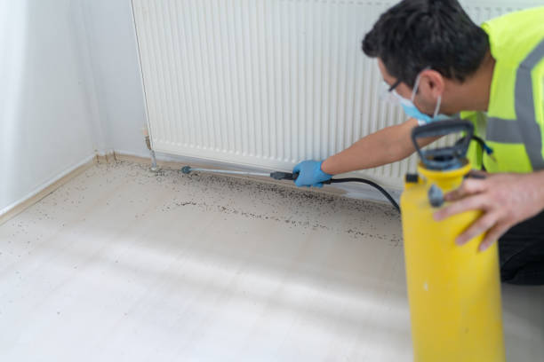 Best Termite Control Services  in Miami Lakes, FL